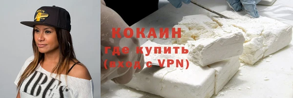 тгк Горняк