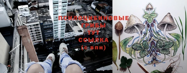 тгк Горняк