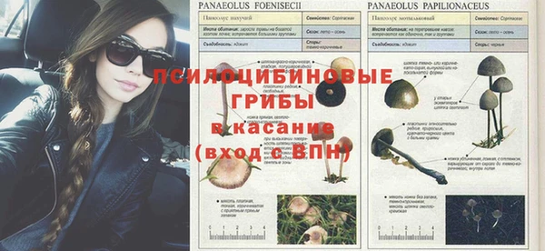 мдма Горнозаводск