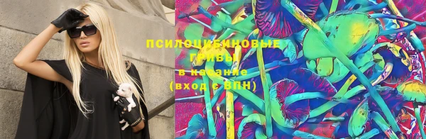 тгк Горняк