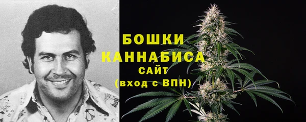 тгк Горняк