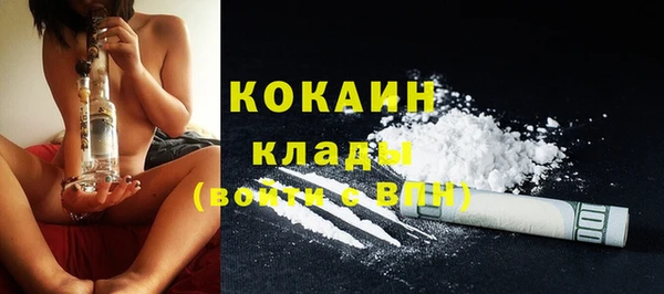 тгк Горняк